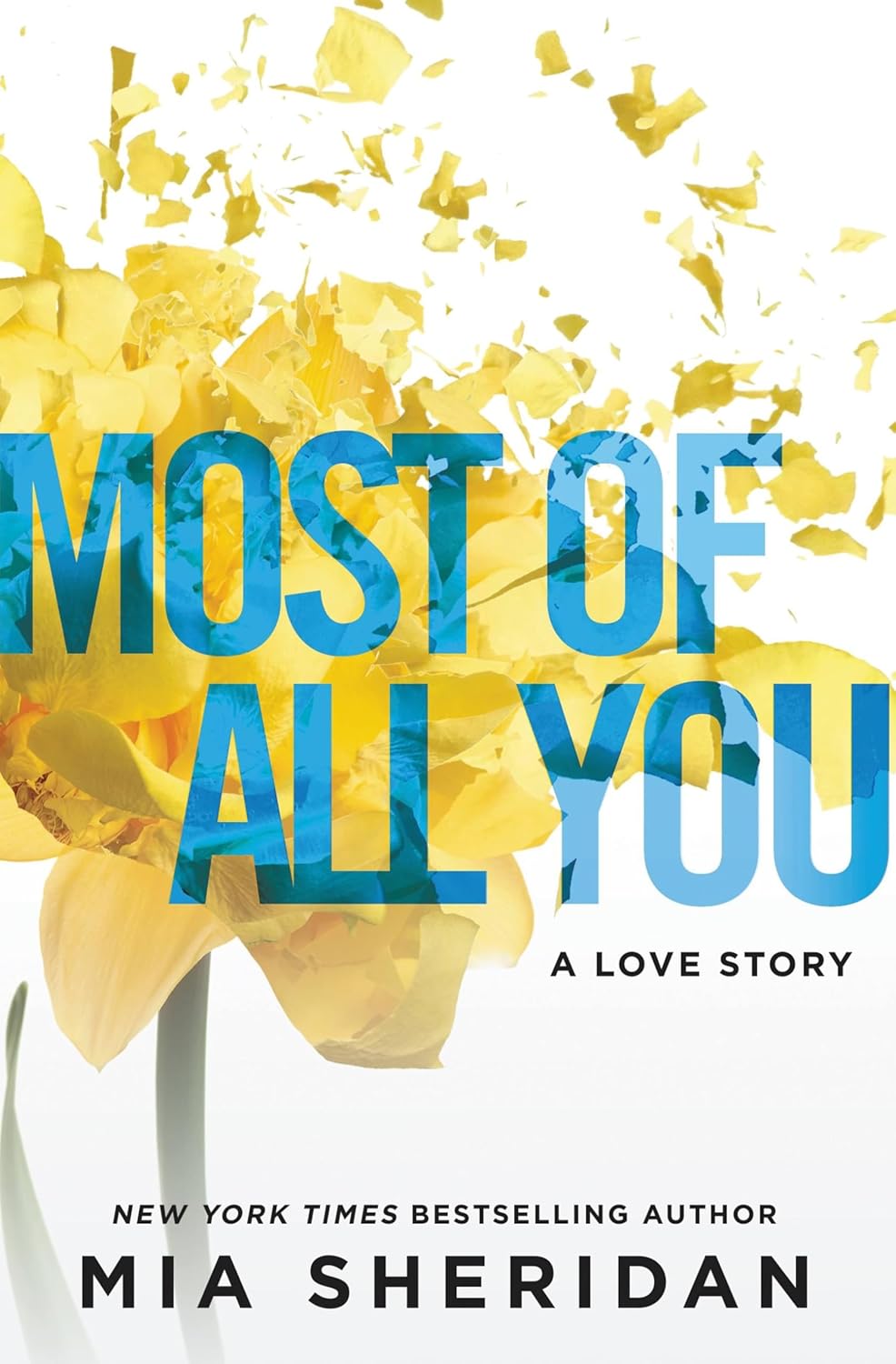 Most of All You: A Love Story Paperback
